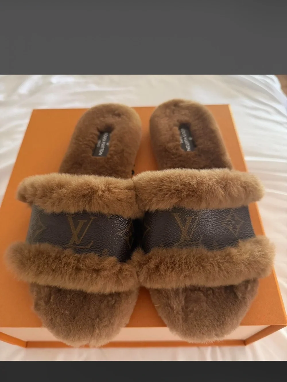 Louis Vuitton monogram canvas